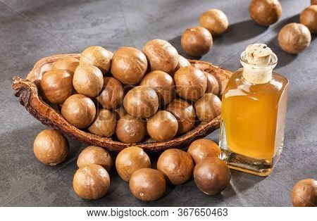 Nuts And Macadamia Oil - Macadamia Integrifolia