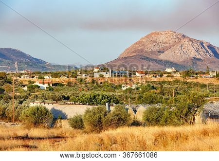 Olive Groves Are Lit By Bright Sunlight In The Valley Against The Backdrop Of Mountain Ranges Near T
