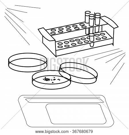 Contour Illustration Of A Petri Dish And Test Tubes, Laboratory Equipment For Research