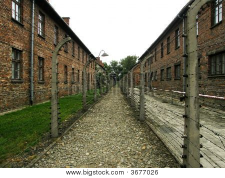 Auschwitz - korytarz mocy