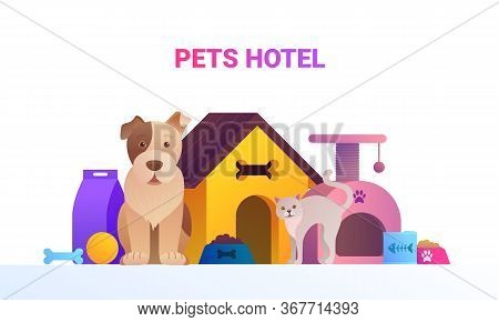 Pets Service Cartoon Banner. Welcome To Animal Store Concept With Cute Dog And Cat. Pet Hotel, Shop 