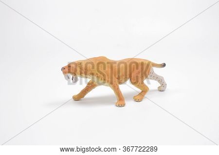 A Pastic Wild  Animal Toys Isolated On White