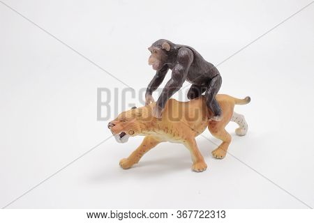 A Pastic Wild  Animal Toys Isolated On White