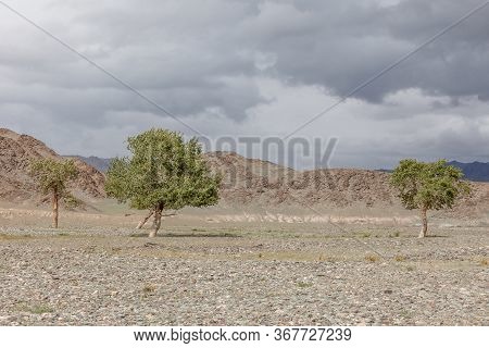 Mongolia Landscape. Altai Tavan Bogd National Park In Bayar-ulgii