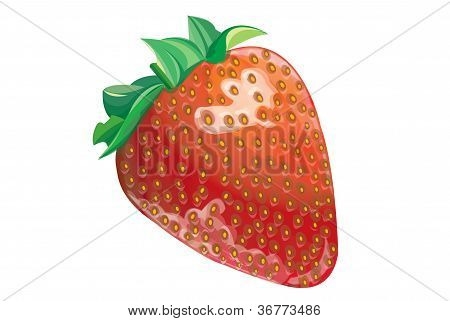 illustrazione di fragola