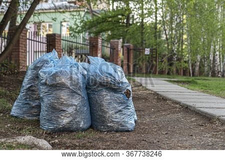 Bags Of Grass And Garbage Are Piled Up. Cleaning Residential Yards