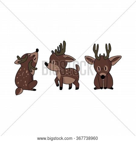 Cute Forest Deer Set Animal Vector Illustration. Buck Deer With Antlers. Childlish Hand Drawn Doodle