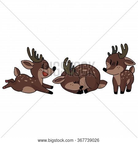 Cute Forest Stag Set Animal Vector Illustration. Buck Deer With Antlers. Childlish Hand Drawn Doodle
