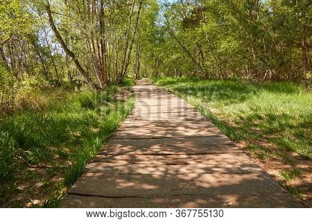 Wooden Path Through The Venner Moor, A Nature Reserve In The Municipality Of Senden In North Rhine-w