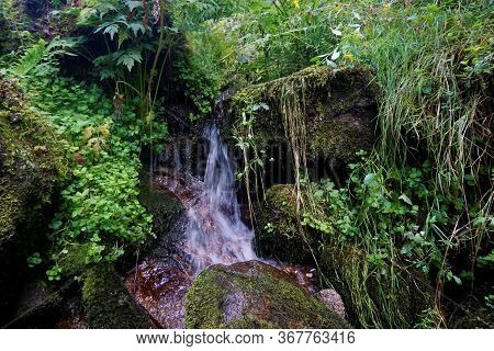 Water Stream Spotted In A Park In La Bresse, France
