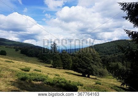 Hiking Through Beautiful Landscape Near The Le Markstein Mountain In France