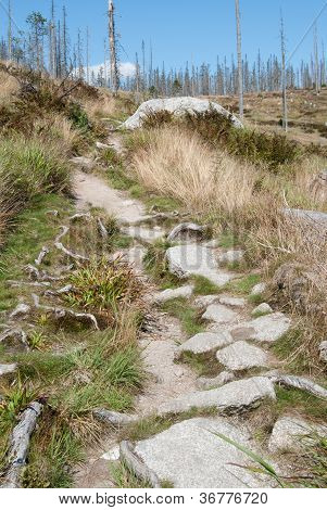 Stone Path Heading To A Dead Forest In Plï¿½ckenstein, Germany