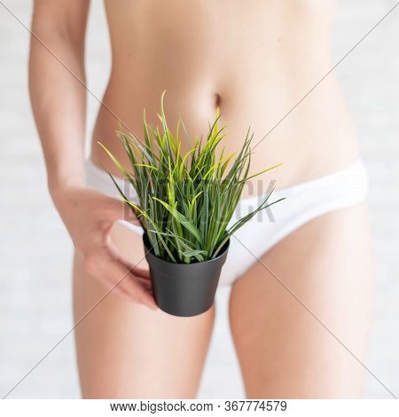 A Woman In White Panties Holds A Pot With A Bushy Plant On A Background Of Light Bricks. Bikini Zone