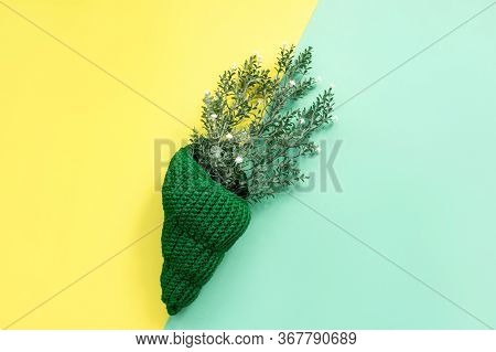 Knitted Shell With Branch Decorating On Yellow And Green. Sunshine And Shadows. Hellow Summer Concep