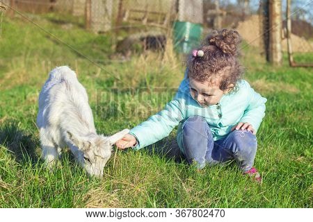 Little Cute Pretty Girl, Kid, Child Hugging, Playing With Baby Goat Or Lamb On Rancho, Farm, Yard In
