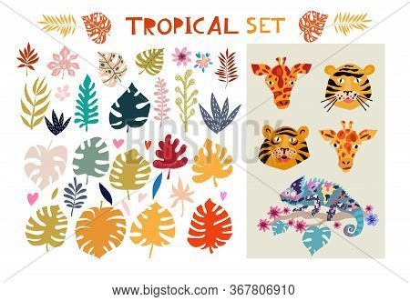 Beautiful Big  Set With Tropical Animals And Plants, Exotic  Flowers. Cute  Vector Elements In Flat 