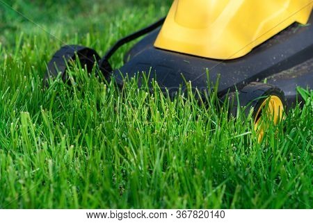 Yellow Electric Lawn Mower Trimming Grass, Close Up