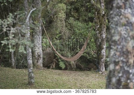 Hammock Hanging From Trees In The Middle Of The Atlantic Forest In Urubici City, In The Serra Catari