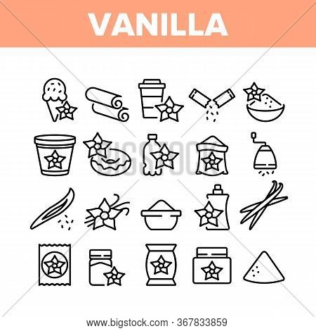 Vanilla Flower Collection Icons Set Vector. Vanilla Stick Ingredient For Ice Cream And Coffee, Donut