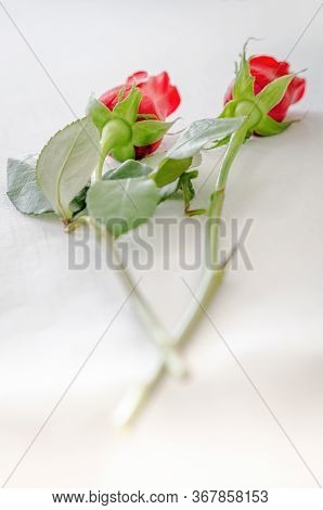 Red Roses On A White Table Wedding