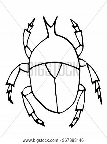 Bug Outline Vector, Vector & Photo (Free Trial) | Bigstock