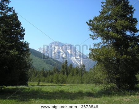 Berg