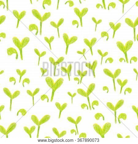 Colorpencil Pattern With Green Sprouts On White Background
