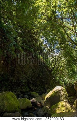 Walk And Discover The Prego Salto Waterfall On The Island Of Sao Miguel, Azores