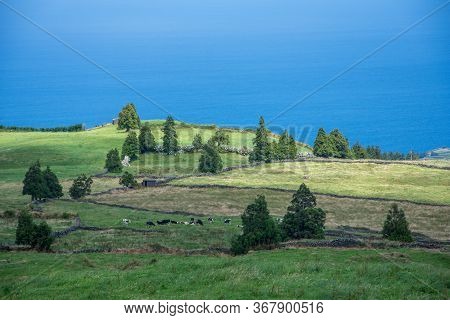 Walk On The Azores Archipelago. Discovery Of The Island Of Sao Miguel, Azores.