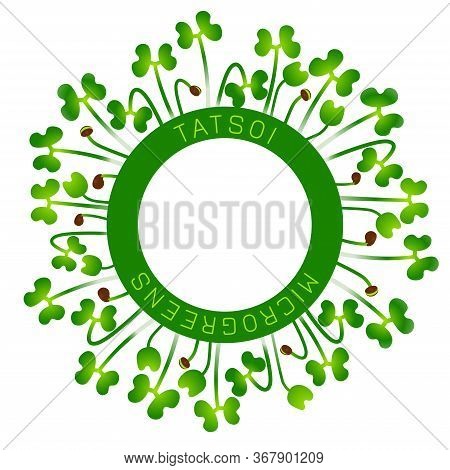 Microgreens Tatsoi. Seed Packaging Design, Round Element In The Center. Around Him Sprouts
