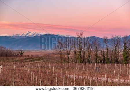 The Sun Goes Down In The Vineyards Of Friuli Venezia-giulia