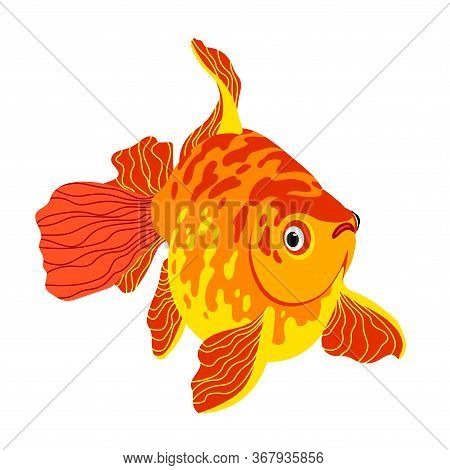 Red Decorative Aquarium Spotted Golden Fish, Chinese Crucian Or Carp, Symbol Of Good Luck & Wealth, 