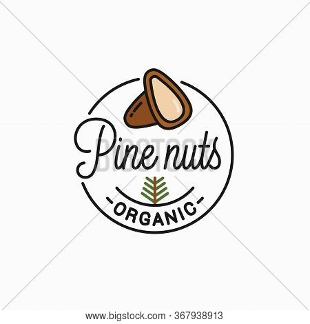Pine Nut Logo. Round Linear Of Peeled Pine Nuts