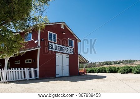 Temecula, California - May 5, 2019: The Temecula Berry Farm In Southern California Allows U-pick Blu