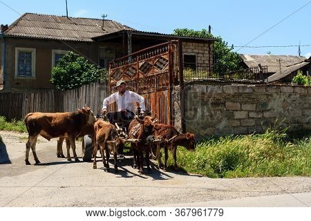 Gori, Georgia - June 14, 2016: Farmer Sitting On The Cart Pulled By Draught Animals.