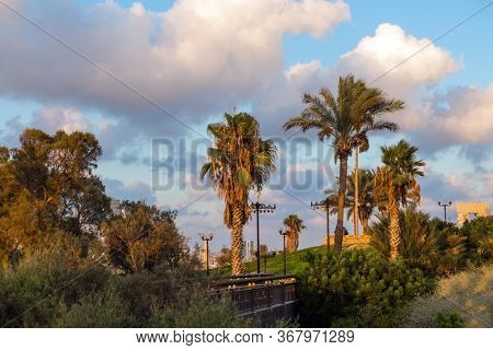 Sunset. Palm trees on the hill 