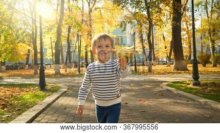 Portrait Of Cute Little Boy Holding Yellow Autumn Lef And Running Towards The Camera At Park