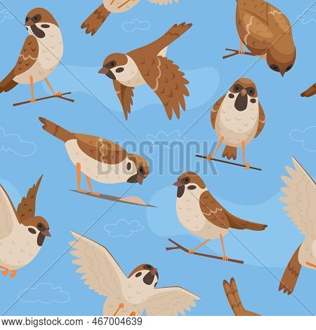 Sparrows Pattern. Textile Design Project With Flying Chrisp Moving Birds Exact Vector Seamless Templ