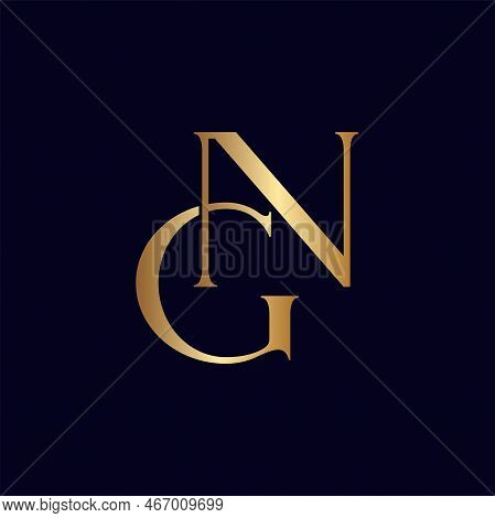 Beauty Natural Leaf Logo Vector Letter Gn Or Ng