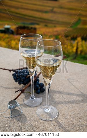 Tasting Of White Brut Champagne Wine Outdoor With View On Colorful Autumn Pinot Noir Grand Cru Viney