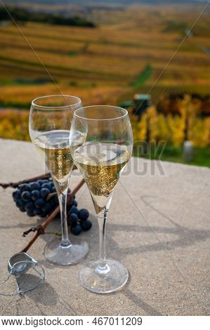 Tasting Of White Brut Champagne Wine Outdoor With View On Colorful Autumn Pinot Noir Grand Cru Viney