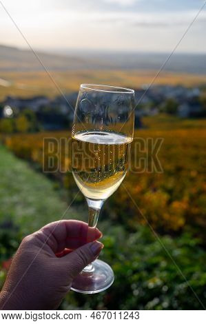 Tasting Of Premier Cru Sparkling White Wine With Bubbles Champagne On Outdoor Terrace With View On C