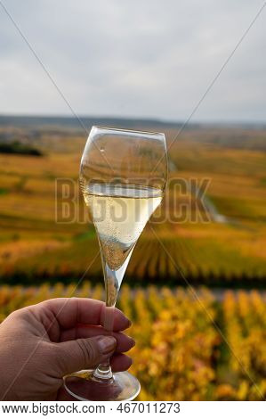 Tasting Of White Brut Champagne Wine Outdoor With View On Colorful Autumn Pinot Noir Grand Cru Viney