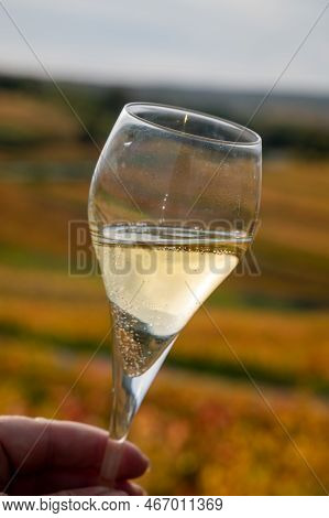 Tasting Of White Brut Champagne Wine Outdoor With View On Colorful Autumn Pinot Noir Grand Cru Viney