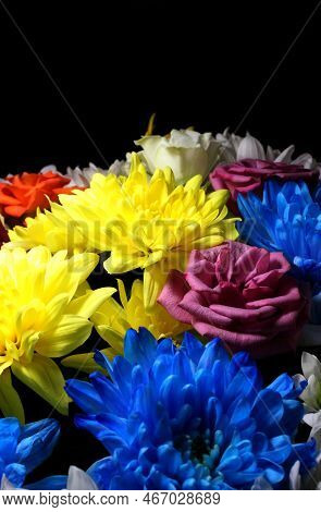 Colorful Flowers In Bloom Over Black Background Stock Photo For Vertical Story