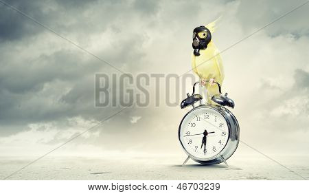 Pappagallo seduto su alarm clock