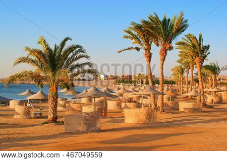 Idylic Beach With Palms And Sun Umbrelas, Red Sea, Egypt