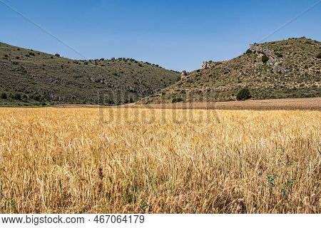 Hiking At Hoces Gorges Del Rio Riaza Natural Reserve Near Segovia In Spain, Europe