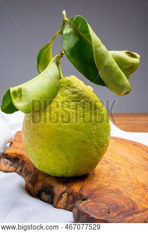 Lemon Citron Cedrate Or Citrus Medica, Large Fragrant Citrus Fruit With Thick Rind