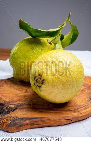 Lemon Citron Cedrate Or Citrus Medica, Large Fragrant Citrus Fruit With Thick Rind